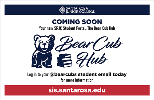 Bear Cub Hub Postcard