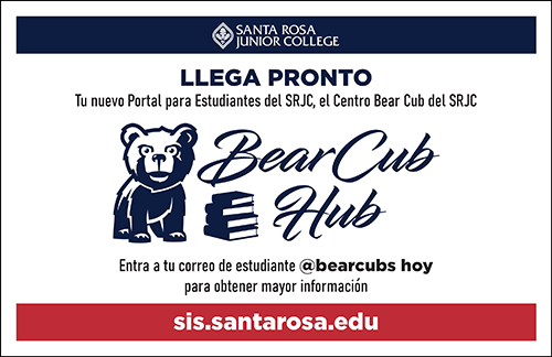 Bear Cub Hub Postcard - Spanish